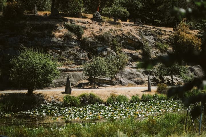 Terraced hillside with moss-covered stone structures and white wildflowers blooming at water's edge below