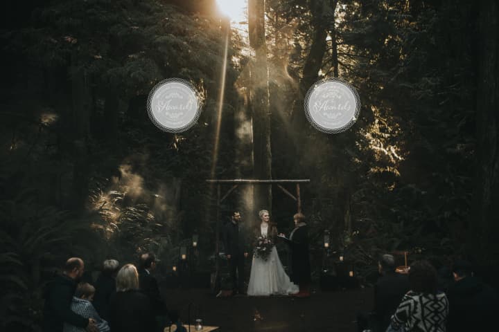 Bride in white dress and groom in dark suit stand with officiant on wooden platform between moss-covered cedar trees