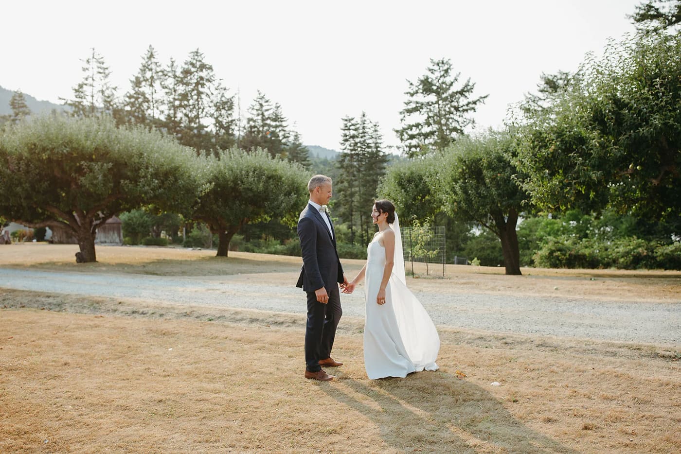 A couple holds hands on a dirt path with tall evergreen trees and vineyard fencing behind them