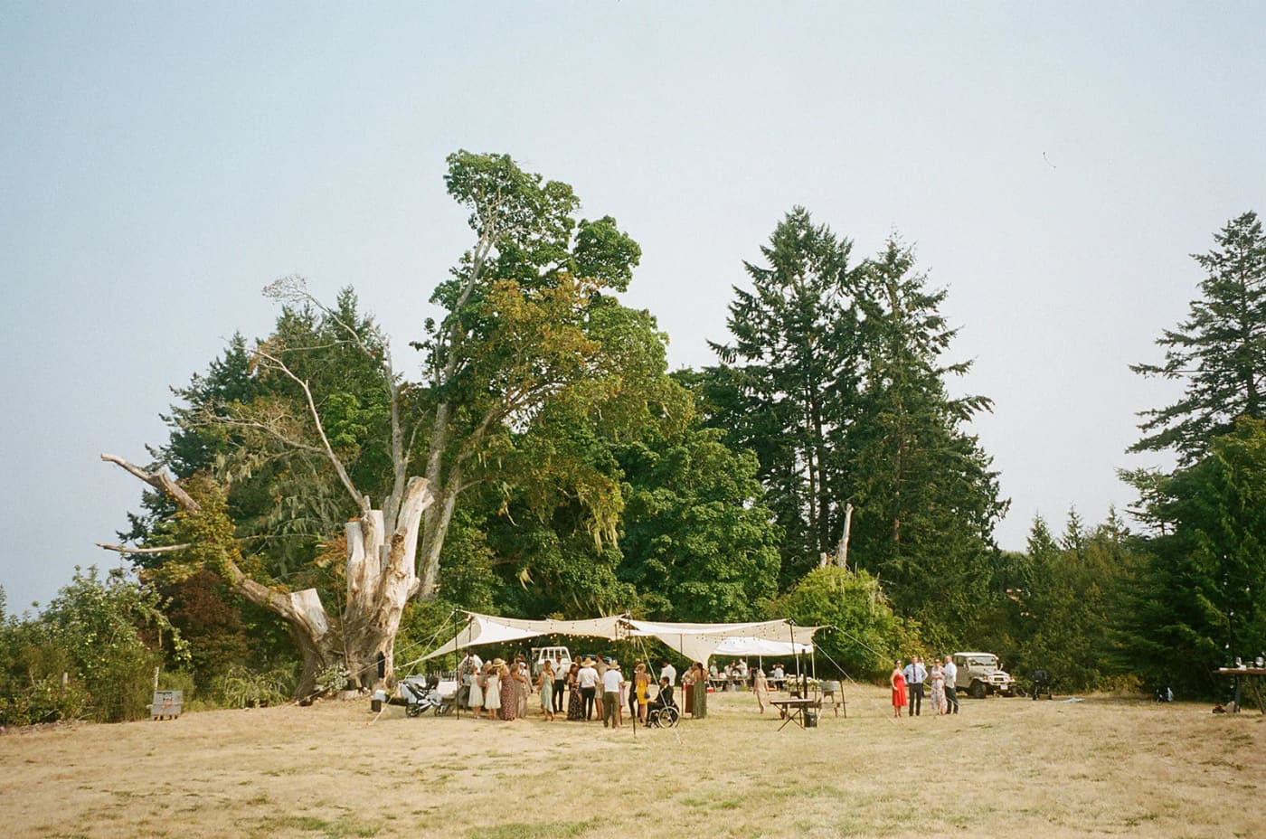White canvas canopy tents shelter guests on a grass field beneath tall trees on an overcast day at Sundown Point Farm
